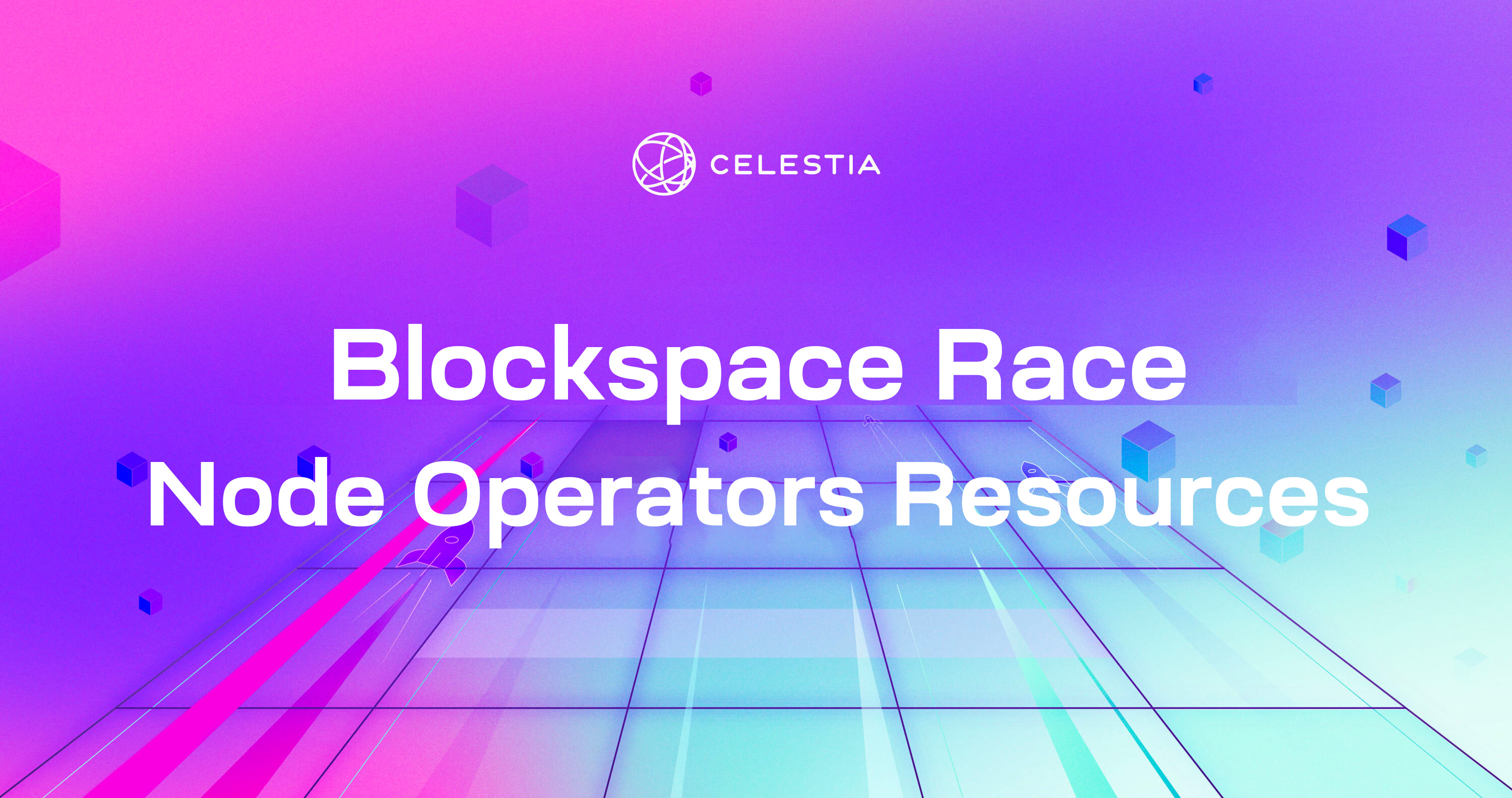 Celestia Blockspace Race Node Operators Resources